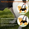 Mayerzon Full Body Dog Lift Harness, Support Senior & Disabled