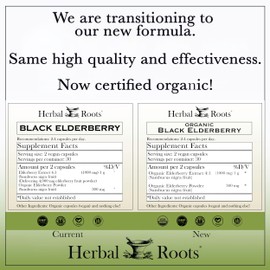 Herbal Roots Herbal Roots Organic Black Elderberry Capsules | Max Strength | Made with Organic Sambucus | 60 Vegan Capsules