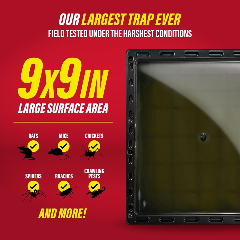 Catchmaster Jumbo Rat & Mouse Glue Traps 6Pk, Large Bulk