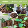 BIOMAND 12qt LECA Clay Pebbles for Plants, 10-20mm LECA Balls