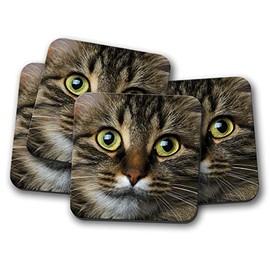 4 Set - Cute Tabby Cat Coaster - Kitten Cats Mum Sister Auntie Gran #14164
