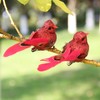 Imitation Feather Bird Multipurpose Fade Resistant Fake Feather Bird Ornament