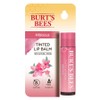 Burt's Bees Tinted Lip Balm, Hibiscus, 4.25g, 1 piece / 버츠비 틴티드 립밤, 히비스커스, 4.25g, 1개
