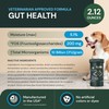 VetriScience Veterinary Strength Gut Health Powder - Gut Health Supplement