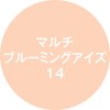 K-Palette Multi-Blooming Eyes 14 Beige Bouquet Liquid Part: 0.3g/Chip-On Portion: