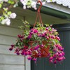 Tioncy 50 Pcs Plastic Hanging Planter Round Hanging Pot for