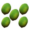 Large Size 3.5" X 2.1" Artificial Limes Lifelike Fake Green