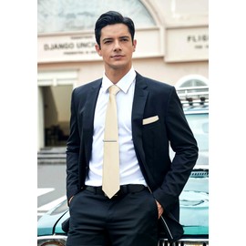 HISDERN Men's Tie Classic Plain Tie and Pocket Square Tie Clip Set Ties for Celebration Wedding Party, beige