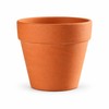 16-Pack Mini Terracotta Pots for Succulents & Cactus – 1.8-Inch