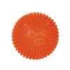 Nobby TPR Noppen Ball Pig, orange 8 cm, 1 Stück