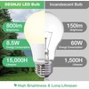 A19 LED Light Bulbs – 60W Equivalent, Soft Warm White
