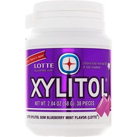 Lotte Xylitol Blueberry Mint Gum 2.04 OZ (Pack of 1)