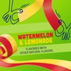 Fruit By The Foot Splitz Fruit Flavored Snacks, Watermelon and