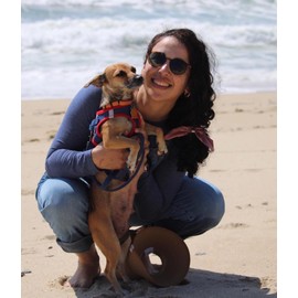 EYLRIM Classic Polarized Round Sunglasses for Women Men Vintage Style Lightweight Circle Frame Sun Glasses(Tortoise/Green)