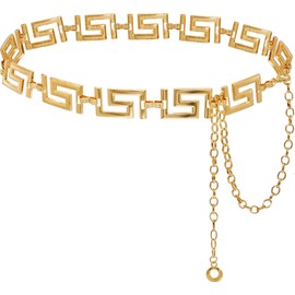 Heyjoin Waist Chain for Women Metal Belly Belt Adjustable Waist Belt for Dress Vest Jeans (Font Gold M)
