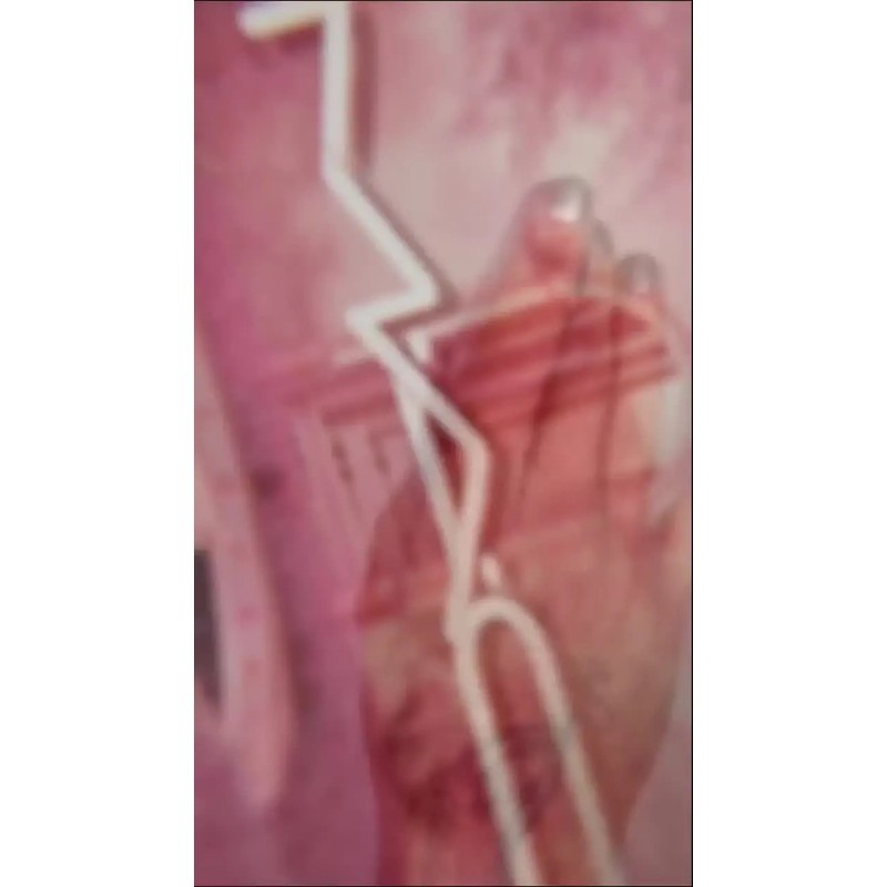 Paleta de Sombras MAC Connect In Colour | Rose Lens