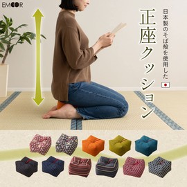 Emoor Natural Buckwheat Cushion, Buckwheat Pillow, 8.7 x 8.7 x 5.1 inches (22 x 22 x 13 cm)