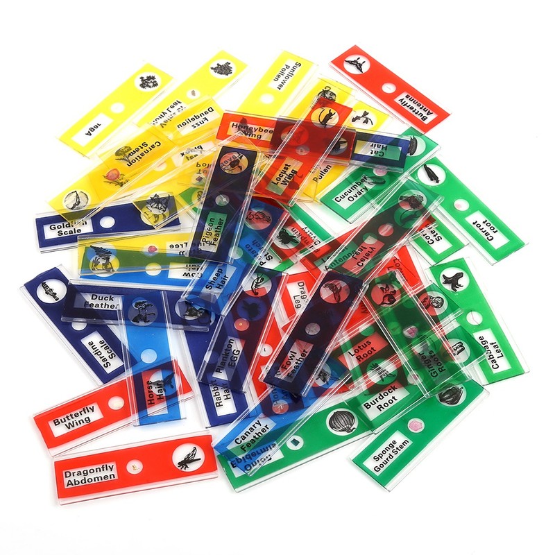 A Set Plastic Prepared Microscope Slides Animals Insects Plants Flowers