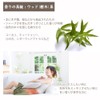 ASH Hinoki Yoshino Essential Oil, 1.7 fl oz (50 ml),