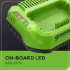 Greenworks 80V 2A Standard Charger GCH8020