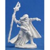 Reaper Elquin, High Elf Adventurer (1) Miniature