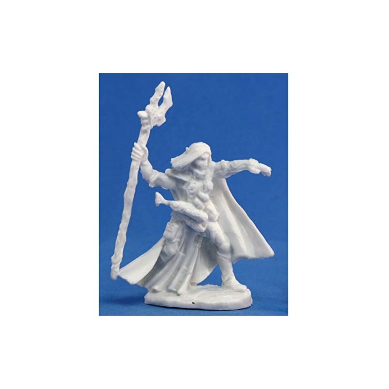 Reaper Elquin, High Elf Adventurer (1) Miniature