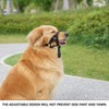 ILEPARK ILEPARK Dog Head Collar with Soft Fabric, Headcollar for