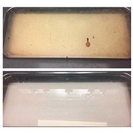 Diamond Magic 20 oz Hard Water Stain And Rust Remover Cleaner NSF Professional