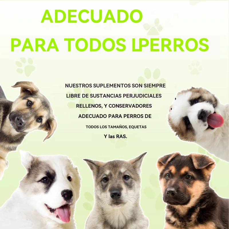 Tabletas De Cardo Mariano Para Perros Protección Hepática180