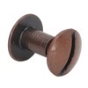 200 Sets Book Binding Screw Uniform Coating Curved Surfaces Brass