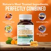 Herbal Destination Turmeric Supplement Hrx- Immune Supplement, Metabolism Booster Joint