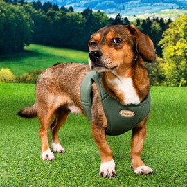 Puppia Eco Dog Vest Harness Eco-Friendly No Pull Comfort Harness for Small and Medium Dogs, Khaki, Medium