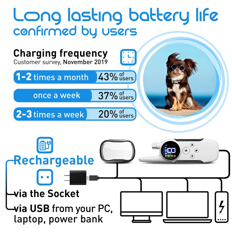 Extra Small Size Dog Training Collar with Remote for Small