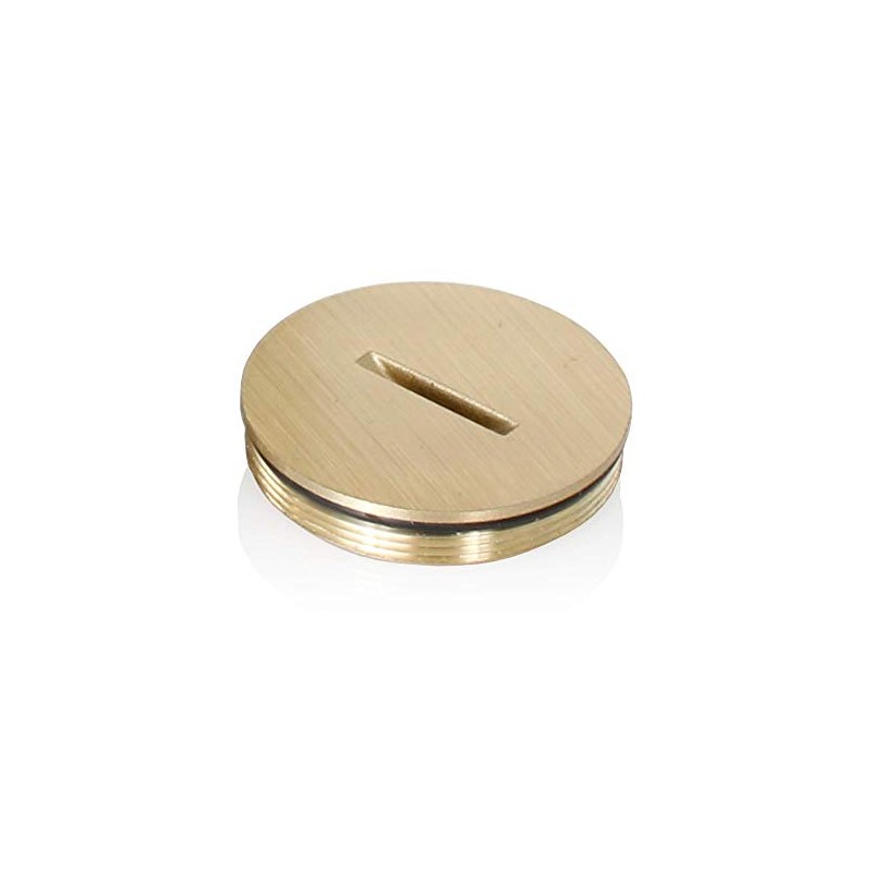 Leviton 25249-CAP Replacement Screw Cap with O-Ring for Duplex Floor