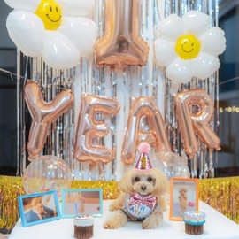 Pet Birthday Set with Golden Sequins Hat Birthday Hat Pet Party Decoration Set Dog Birthday Hat Bow Tie Cat Dog Birthday Sequins Decoration Accessories Festive Party (Pink)