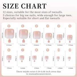 MrCuvaryas Pack of 120 False Toenails Kit, 12 Sizes Artificial Toenails for Sticking, Full Cover Acrylic Artificial Toenail Tips for Women Nail Art DIY (Nude Gradient, 120 Pieces)