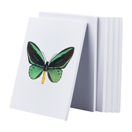 NBEADS 6 Pcs Eva Craft Foam Paper, 10mm Thick EVA Foam Pinning Board White EVA Foam Sheets Specimen Spreading Board for Insect Pinning Board Specimen Display, Science Art Supplies, 8x5.5x0.4inch