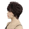 Aimole Short Curly Layered Shaggy Wigs Synthetic Women Wig Heat