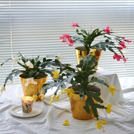 alyptus Artificial Flowers with Pot Christmas Cactus Plants Calorful Set of 3 Stunning Holiday Ornaments for Festive Home Décor (Colorful)