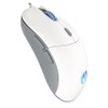 ENDORFY GEM Plus Onyx White Gaming Mouse RGB, Ultralight Wired