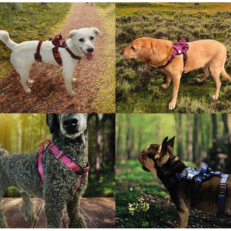 Tail Blazers Anti-Escape Dog Harness. Adjustable No Pull, Reflective, Breathable,