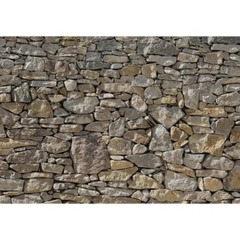 Brewster Home Fashions Komar 8-727 Stone Wall Mural, Neutral