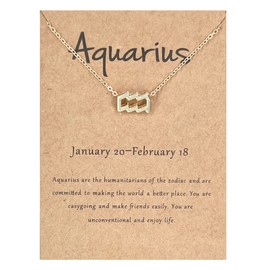 Aquarius Constellation Gift Necklace for Women Adults Gold Zodiac Aquarius Necklace Aquarius Zodiac Sign Necklaces for Women Aquarius Gifts Aquarius Pendant Necklaces