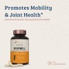 Live Conscious MoveWell by LiveConscious Glucosamine Chondroitin with MSM, Hyaluronic