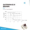 Ranked Gateron ks-9 Key Switches for Mechanical Gaming Keyboards |