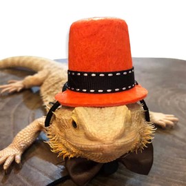 Kelendle Lizard Costume with Sling Carrier Bearded Dragon Clothing Adjustable Lizards Reptile Carrier Sling Reptile Sleeping Bag for Outdoor Walking (Orange Hat+Coffee Bow Tie)