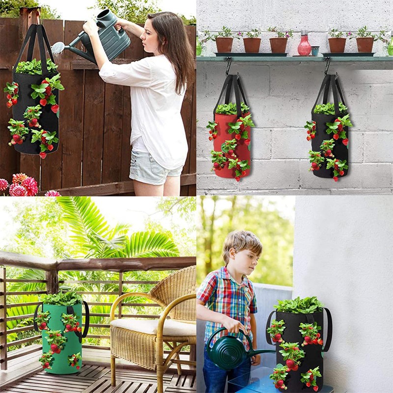 Cozioz 3-Pack Upside Down Hanging Tomato Planters – 3 Gallon