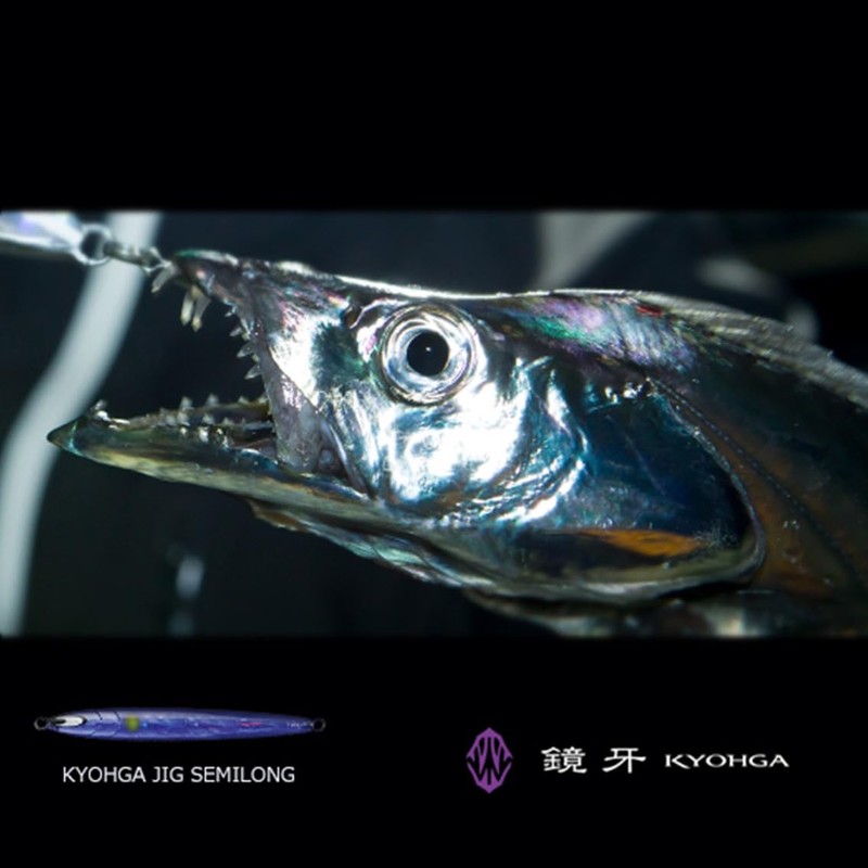 Daiwa Tachio-Jig, Mirrored Fang, Semi-Long 3.5 oz (100 g), FH