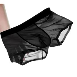 Cerahome Mens Cooling Thin Boxers Briefs Breathable Quick Dry Trunks Sweat Absorbing Fitness Sport Underwear (US, Alpha, XX-Large, Regular, Regular, Black)