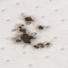 Oxford Products High Quality Oil Absorbing Pads/Mats (Oil/Fuel and Some
